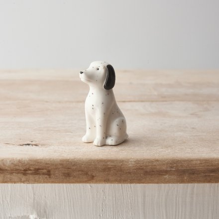Porcelain Dog