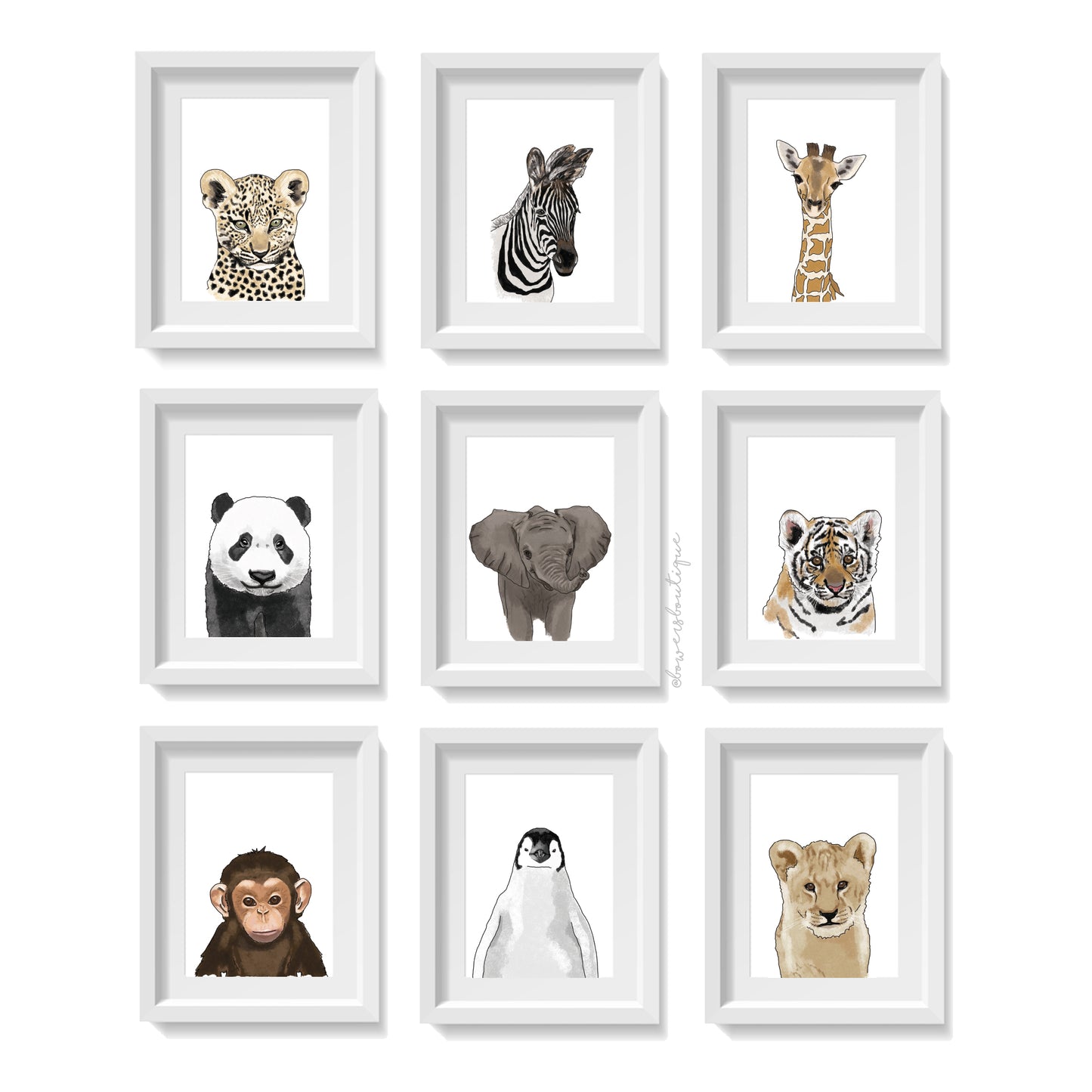 Baby Animal Illustration Prints